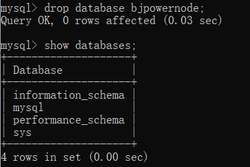 image-20250316031107016